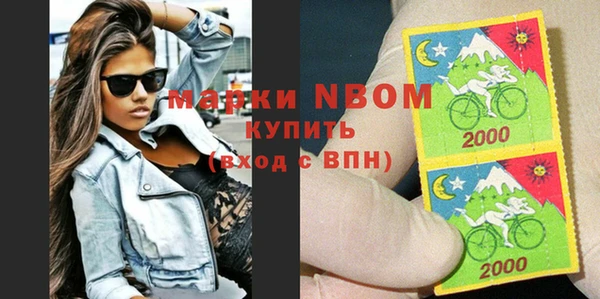 твердый Ельня