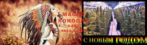 твердый Ельня