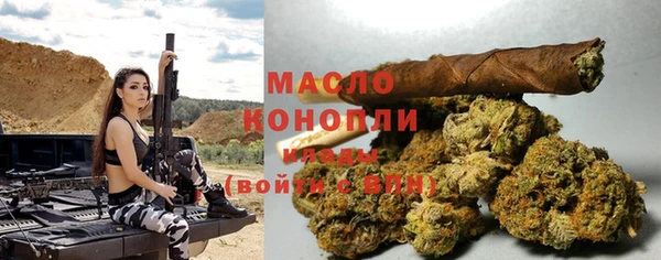 твердый Ельня