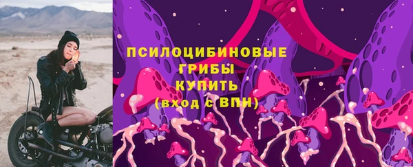 твердый Ельня