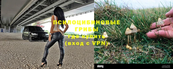 соль ск Елизово