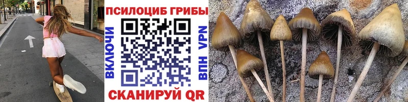 площадка как зайти  Керчь  Галлюциногенные грибы мицелий 